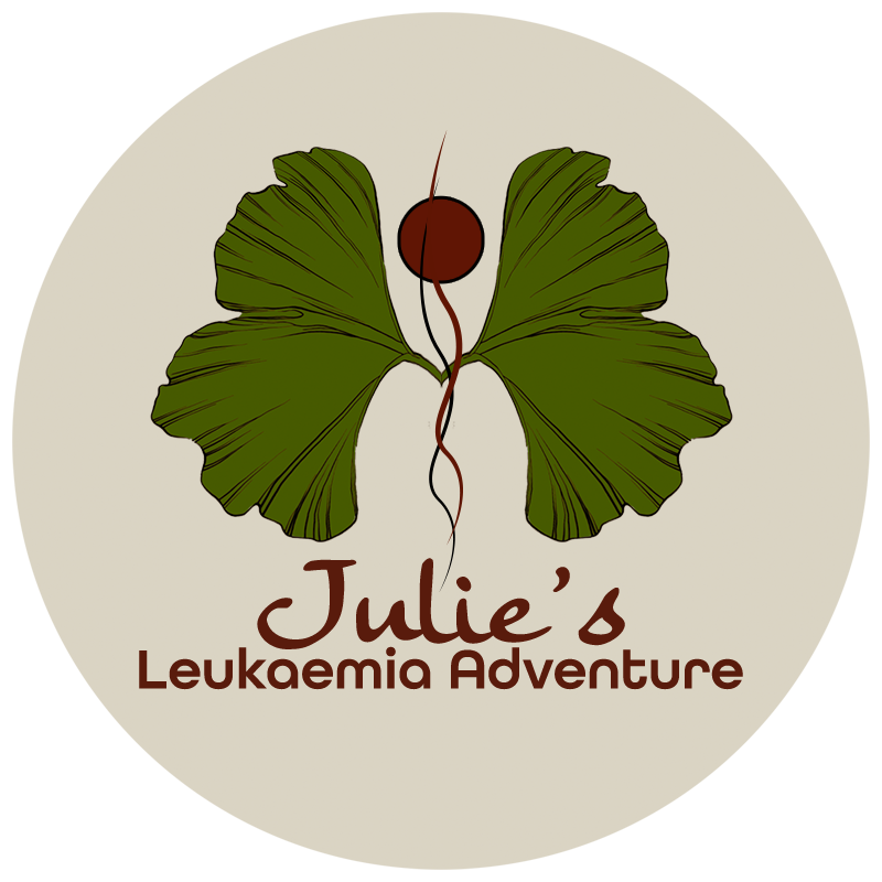 Julie’s Leukaemia Adventure
