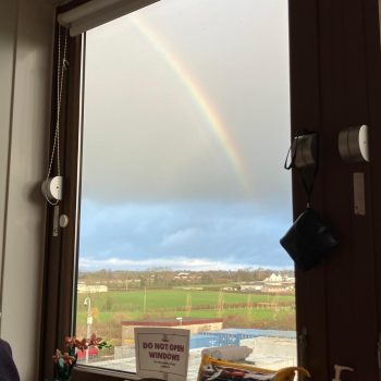 Chemo #11 & new protocol